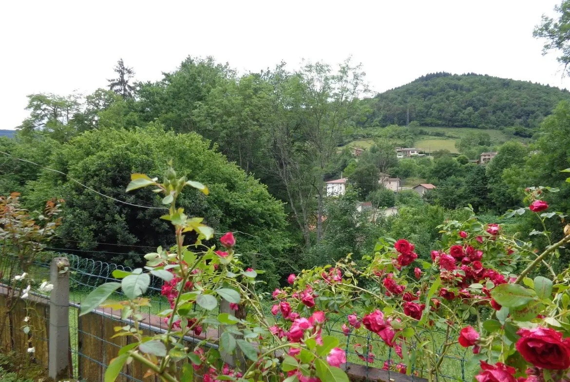 Spacieuse maison de village avec terrasse et grenier aménageable à Chambost-Allières 