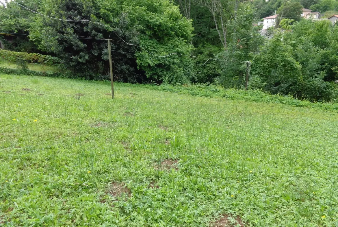 Spacieuse maison de village avec terrasse et grenier aménageable à Chambost-Allières 