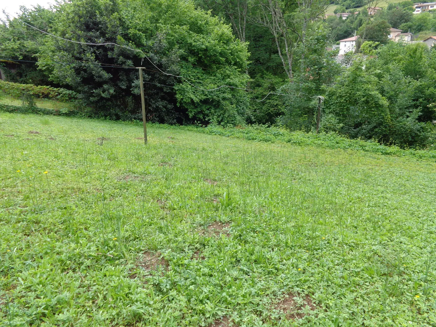 Spacieuse maison de village avec terrasse et grenier aménageable à Chambost-Allières 