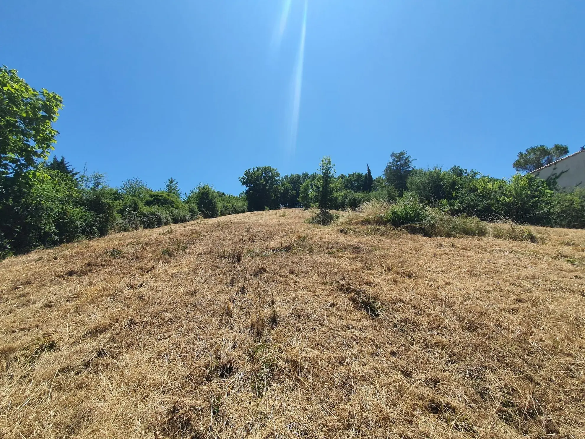 Terrain constructible avec vue panoramique à Albi de 3000 m² 