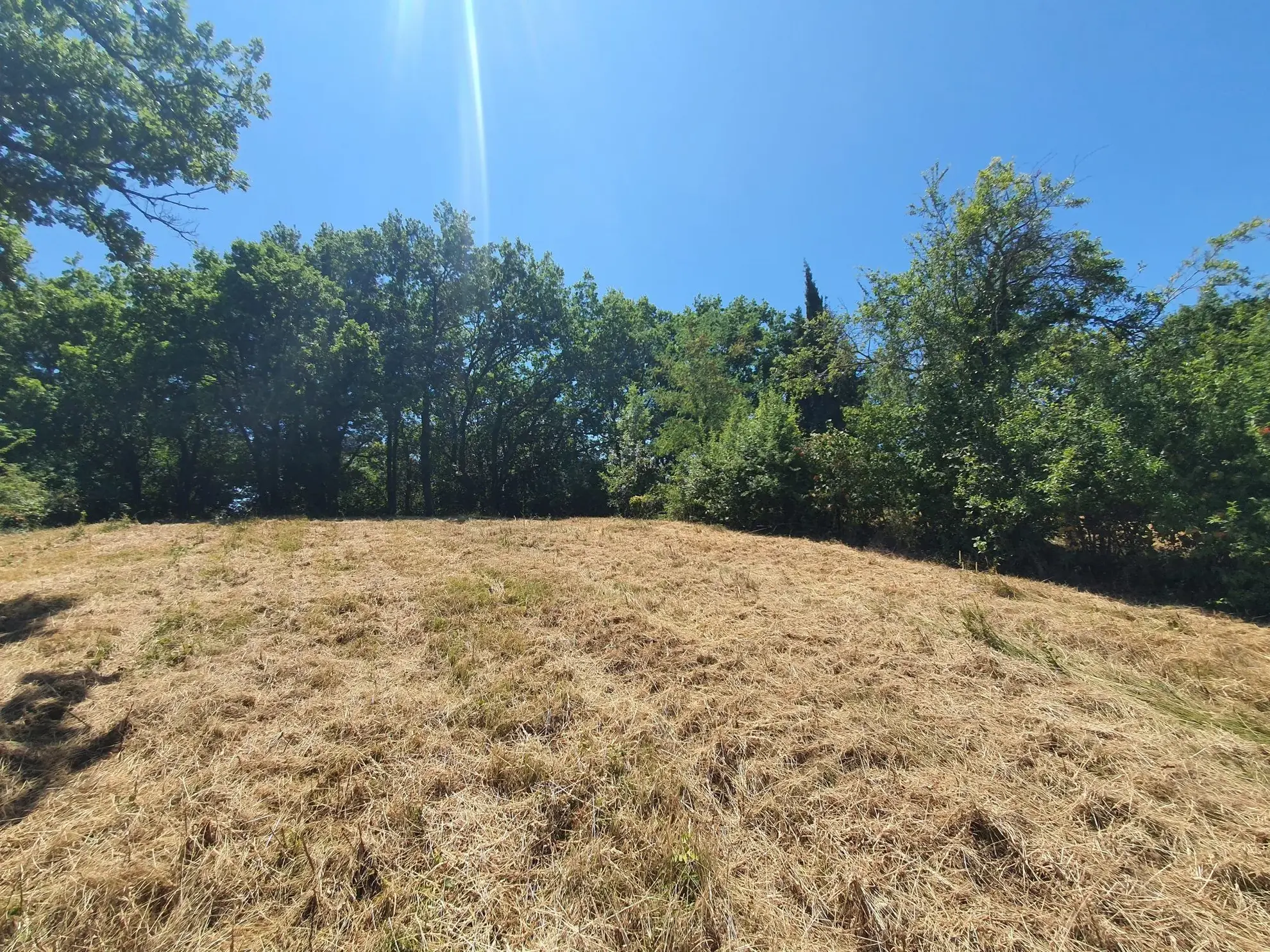 Terrain constructible avec vue panoramique à Albi de 3000 m² 