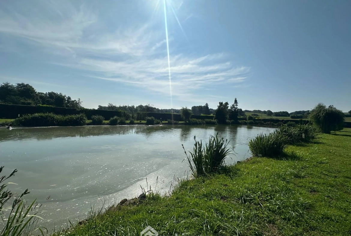 Terrain de 9231 m² avec étang et chalet à Houry – Cadre naturel exceptionnel 