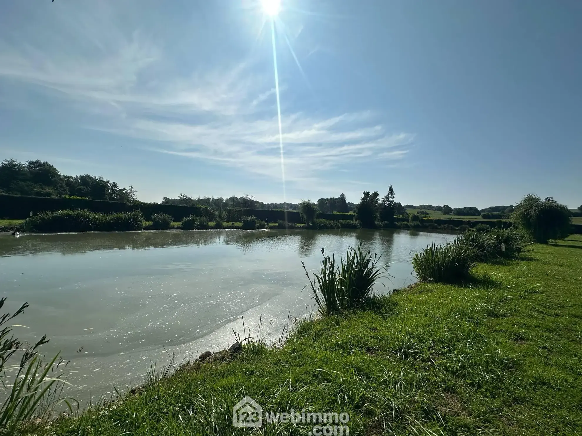 Terrain de 9231 m² avec étang et chalet à Houry – Cadre naturel exceptionnel 