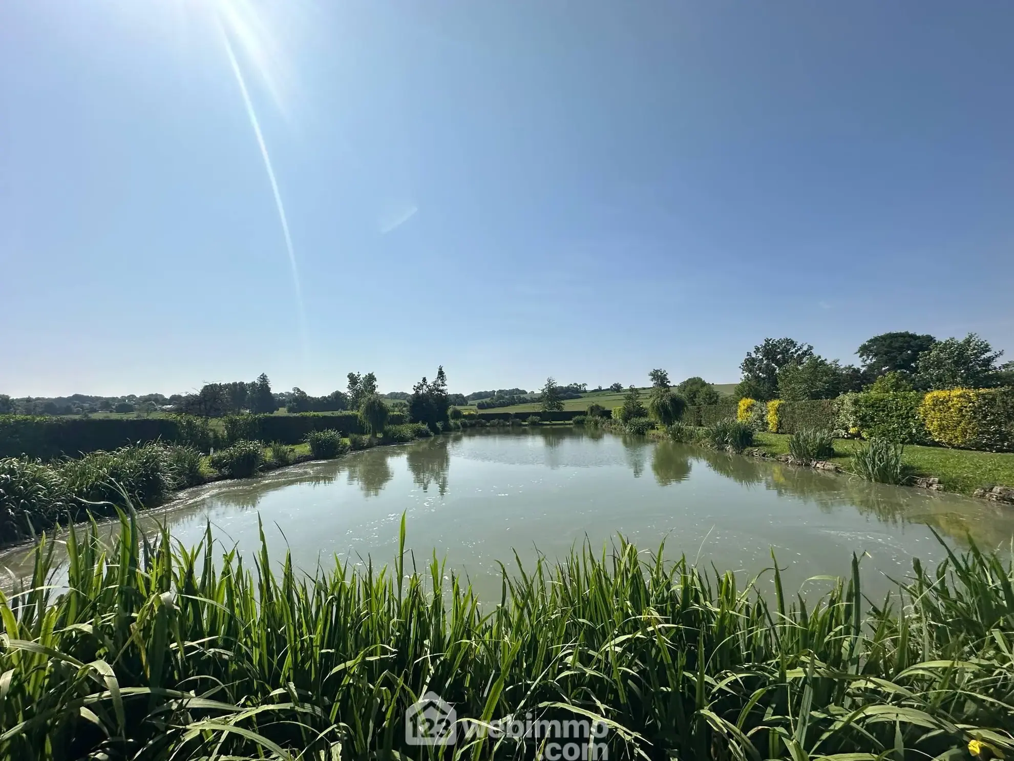 Terrain de 9231 m² avec étang et chalet à Houry – Cadre naturel exceptionnel 