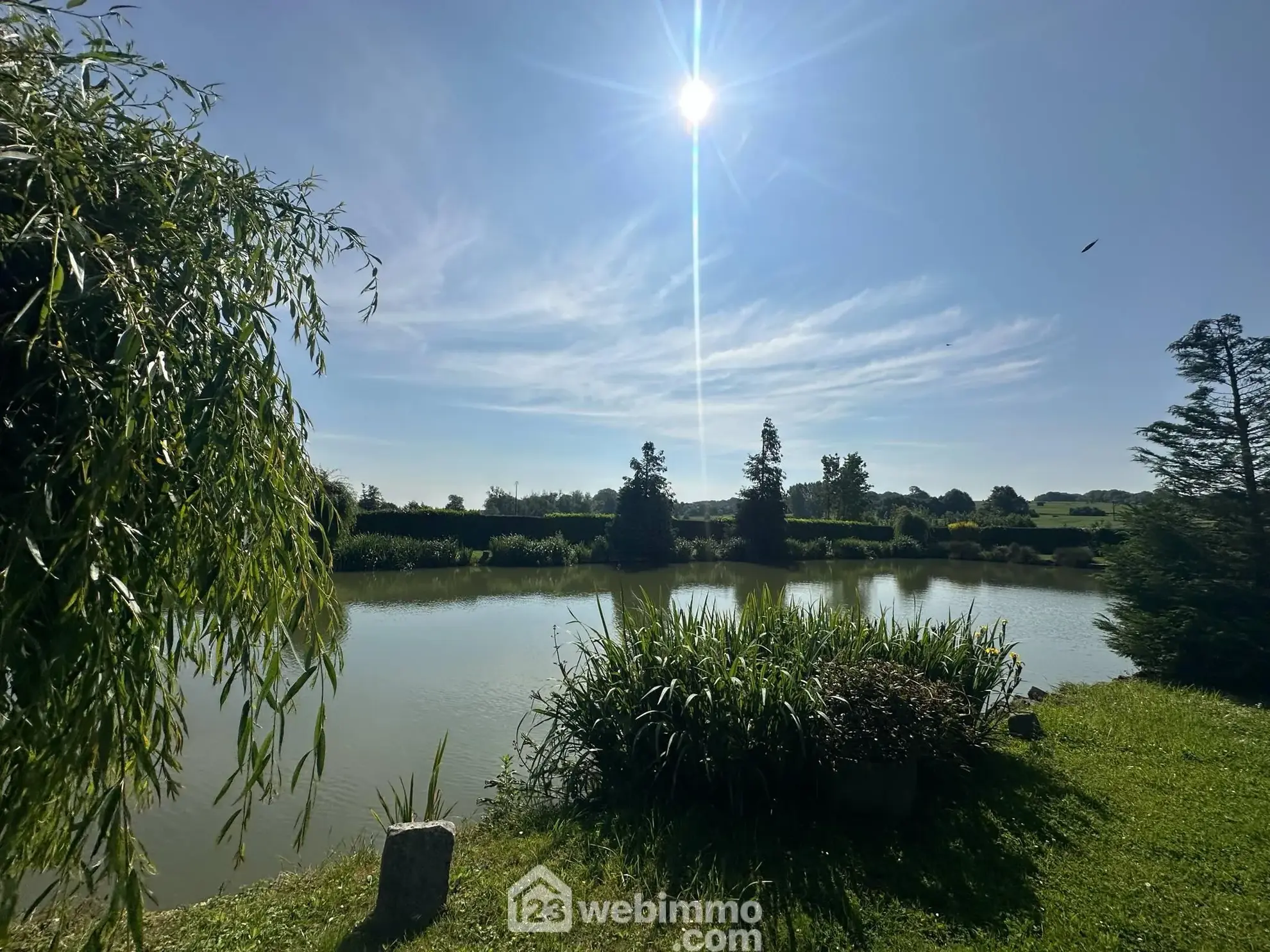 Terrain de 9231 m² avec étang et chalet à Houry – Cadre naturel exceptionnel 