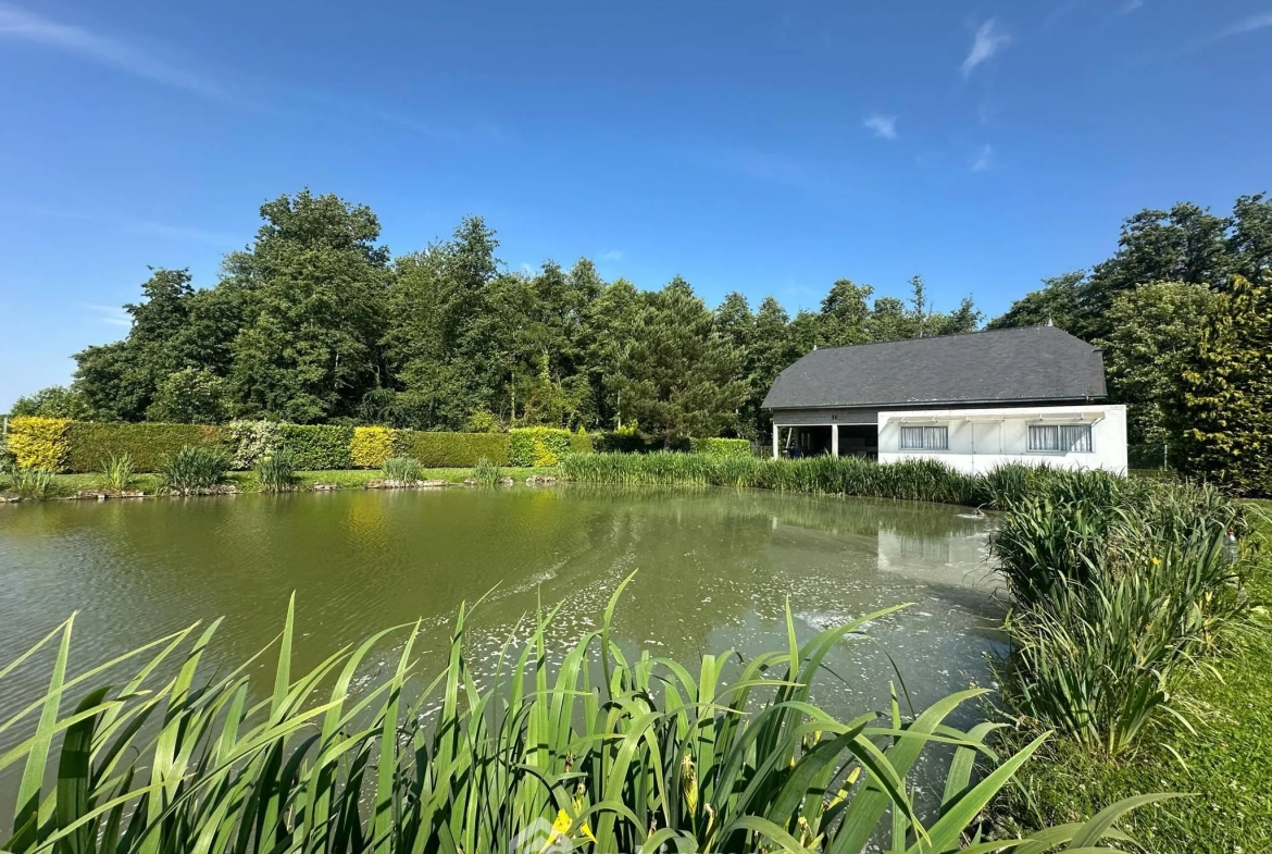 Terrain de 9231 m² avec étang et chalet à Houry – Cadre naturel exceptionnel 