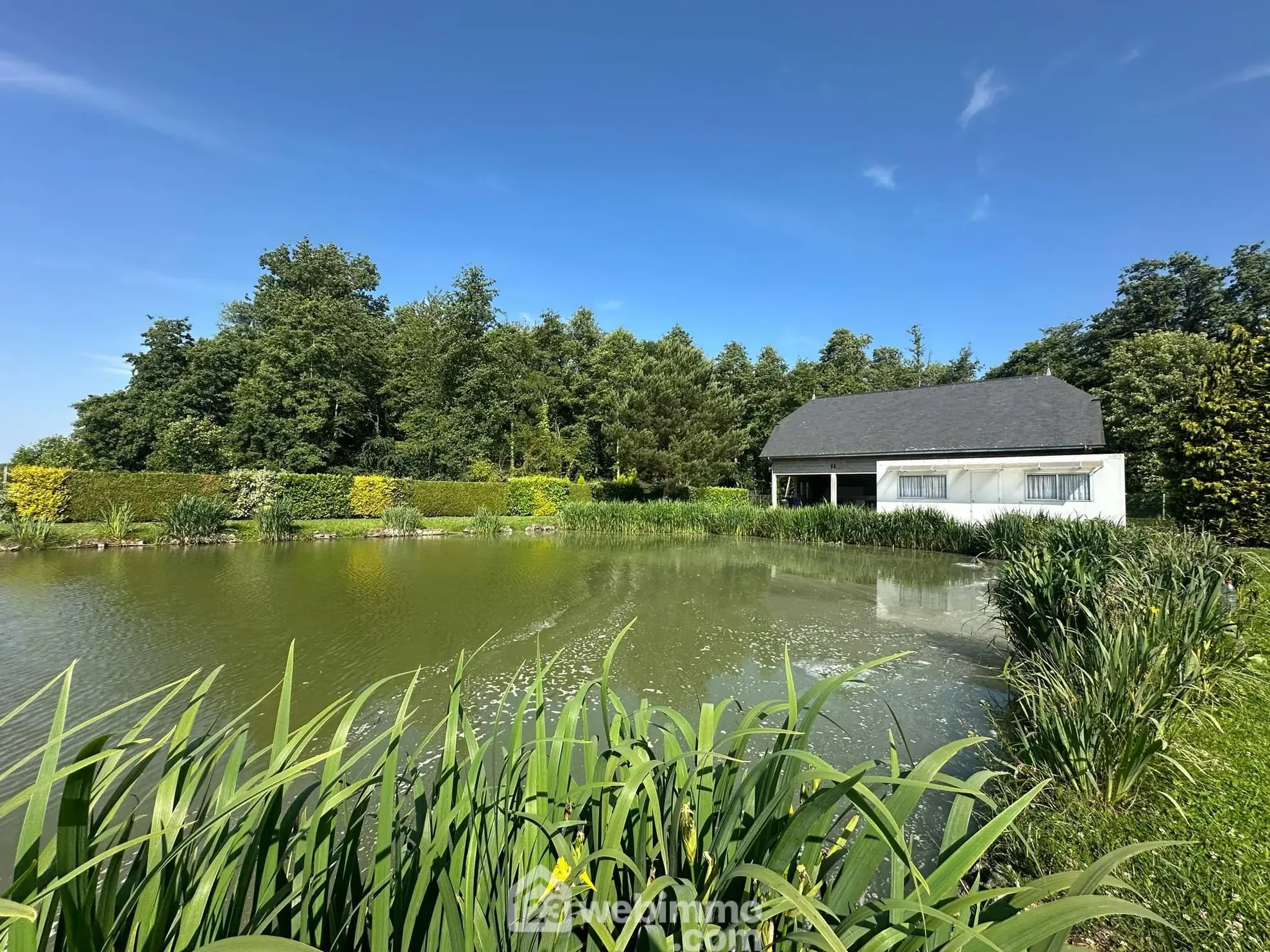 Terrain de 9231 m² avec étang et chalet à Houry – Cadre naturel exceptionnel 