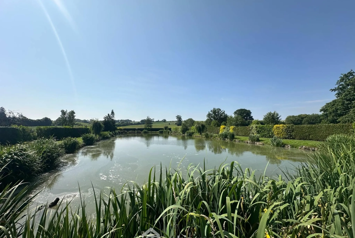 Terrain de 9231 m² avec étang et chalet à Houry – Cadre naturel exceptionnel 