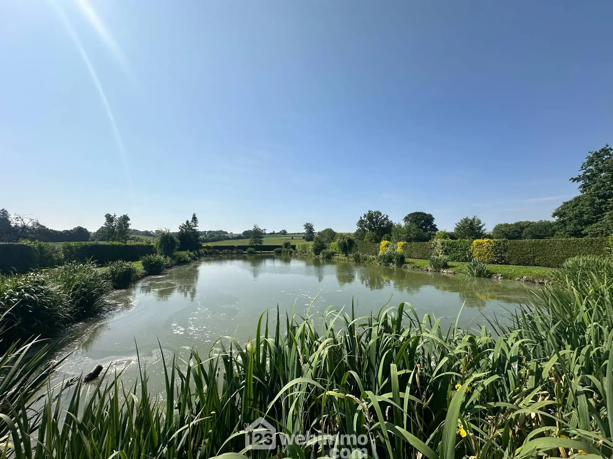 Terrain de 9231 m² avec étang et chalet à Houry – Cadre naturel exceptionnel 