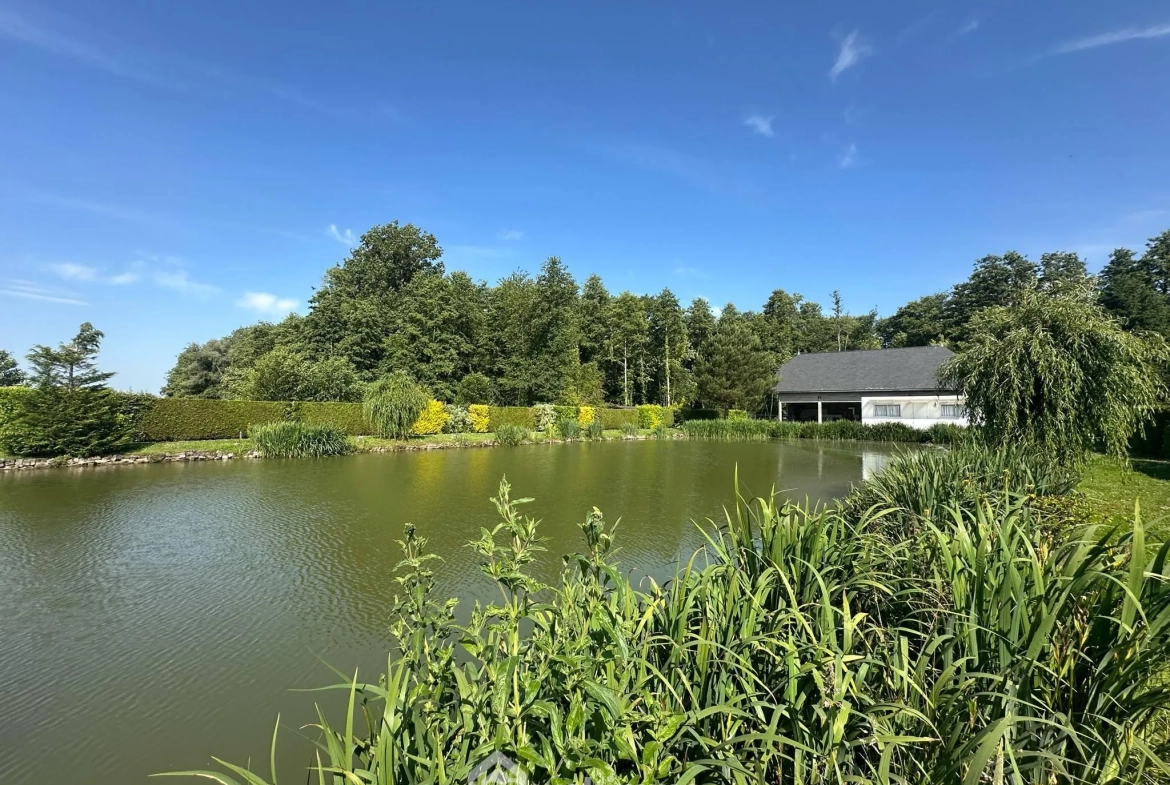 Terrain de 9231 m² avec étang et chalet à Houry – Cadre naturel exceptionnel 