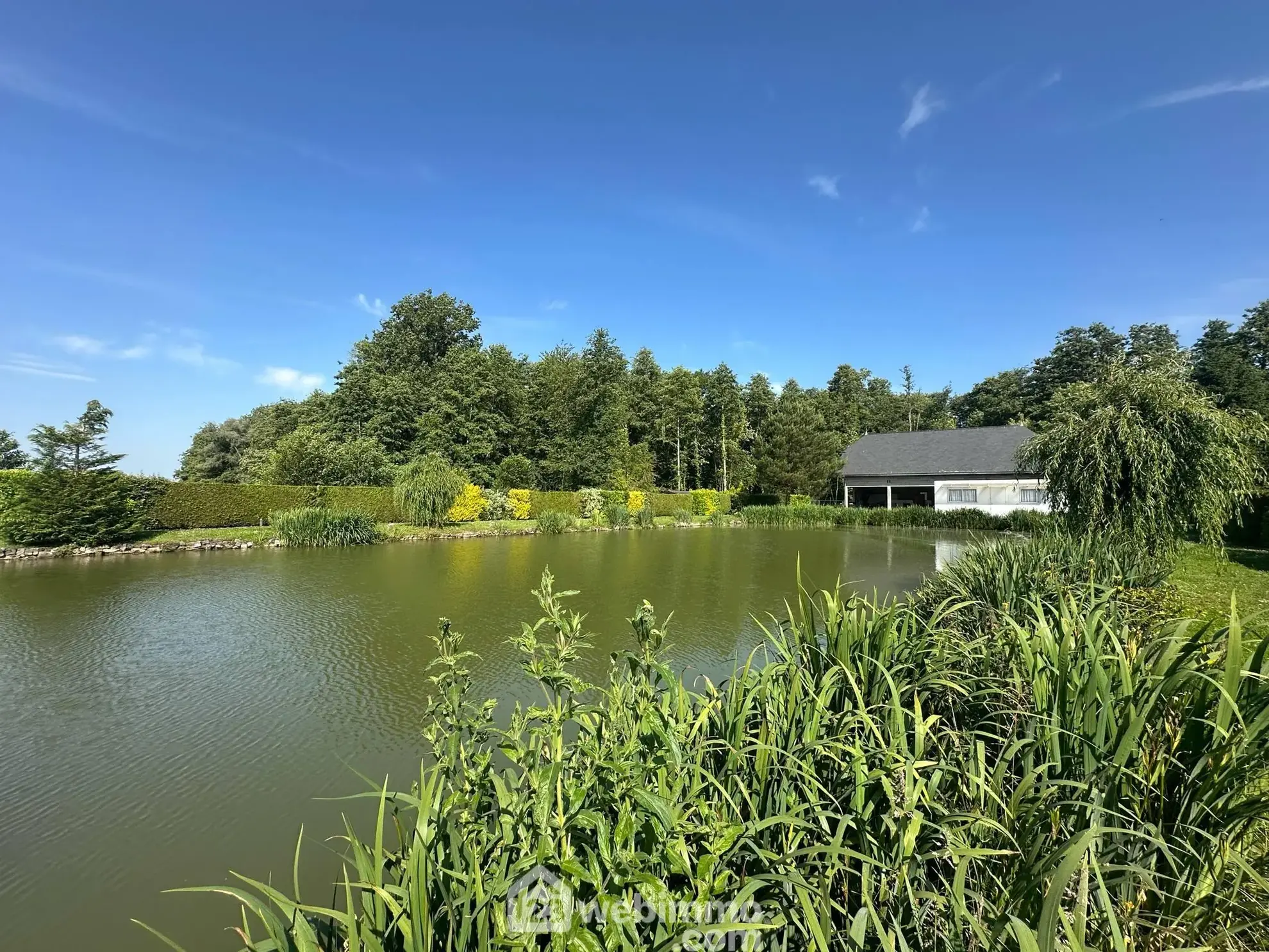 Terrain de 9231 m² avec étang et chalet à Houry – Cadre naturel exceptionnel 