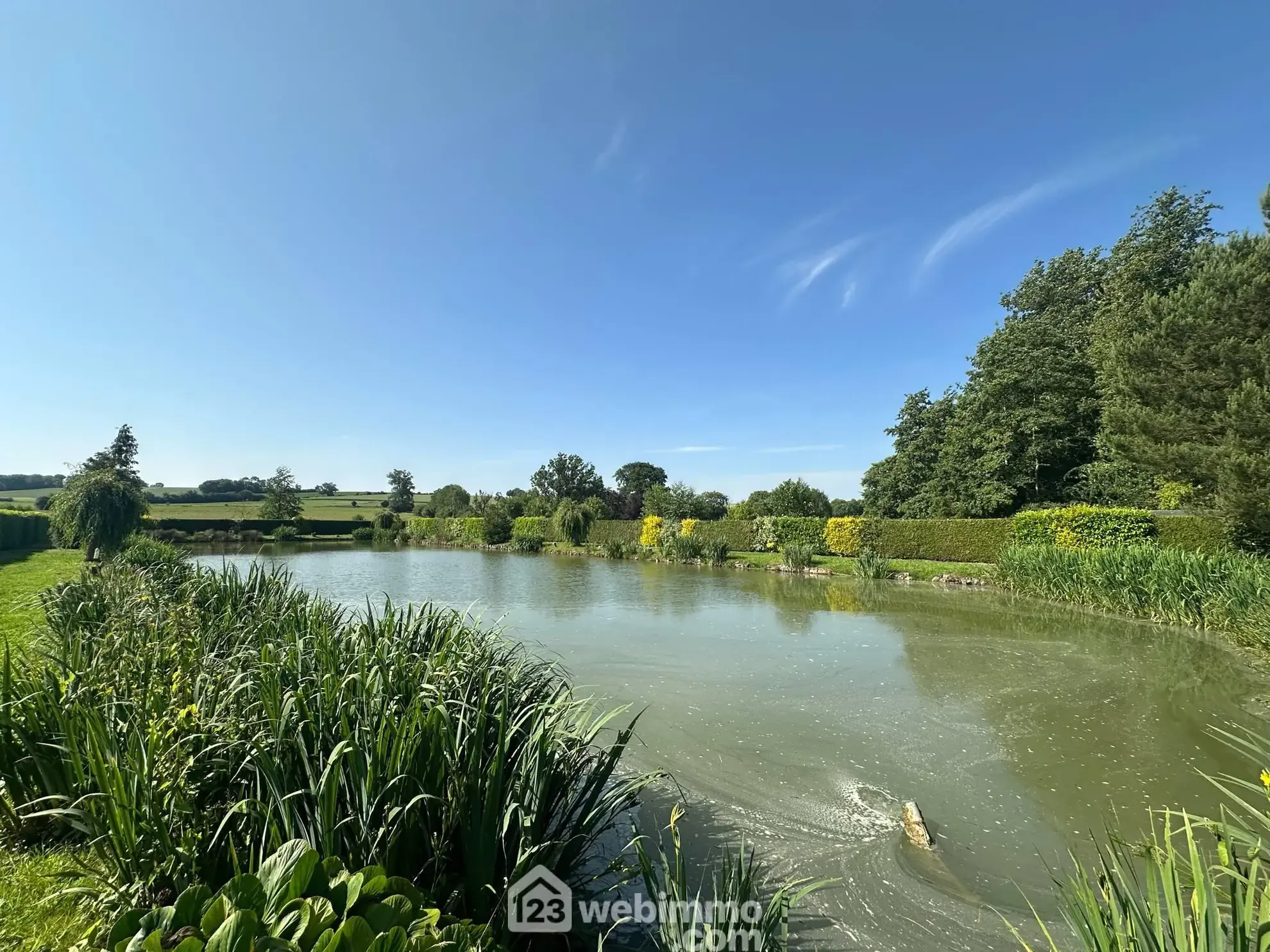 Terrain de 9231 m² avec étang et chalet à Houry – Cadre naturel exceptionnel 