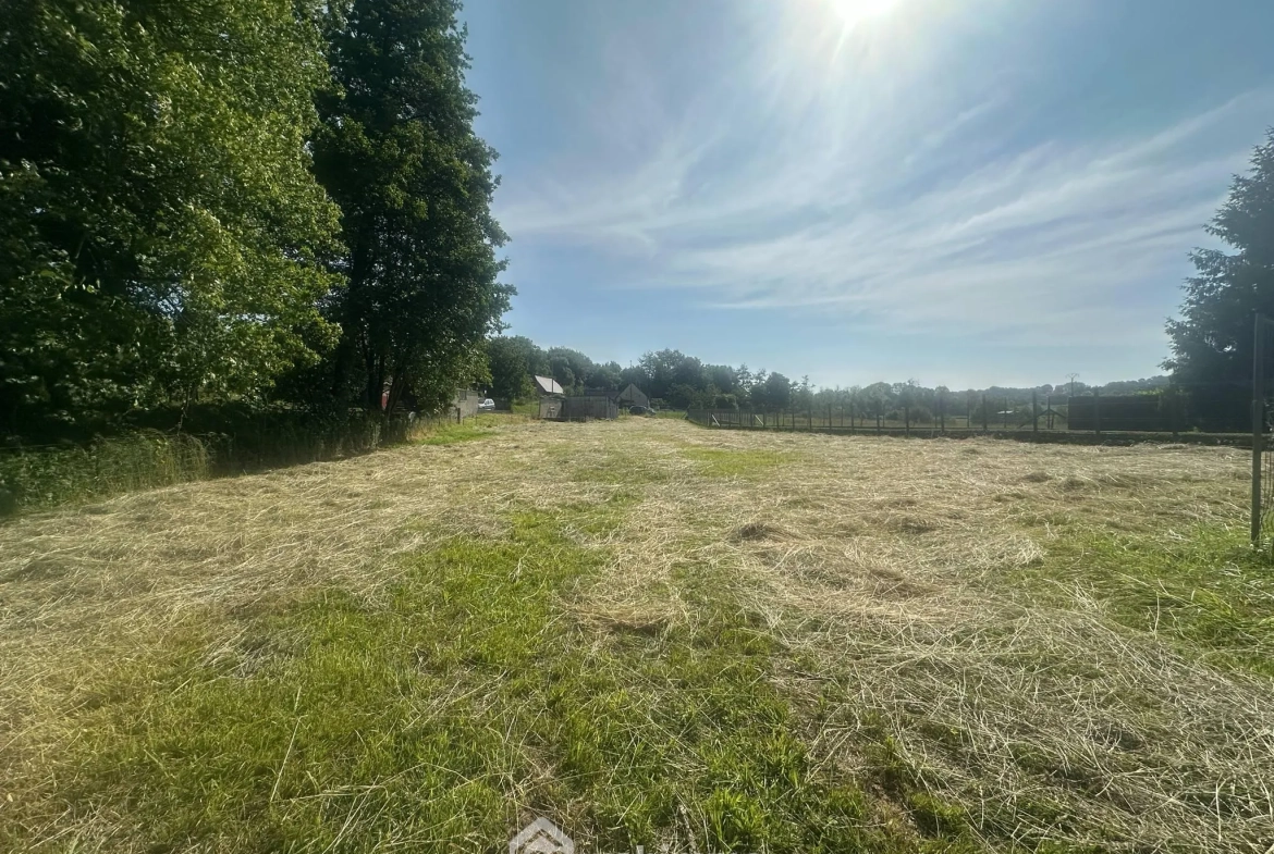 Terrain de 9231 m² avec étang et chalet à Houry – Cadre naturel exceptionnel 