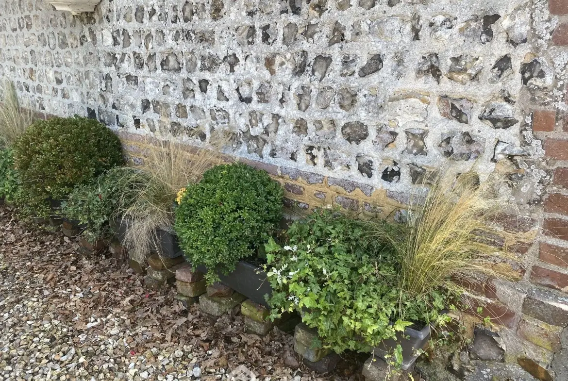 Magnifique ensemble de deux chaumières avec grand terrain proche de Veulettes-sur-Mer 
