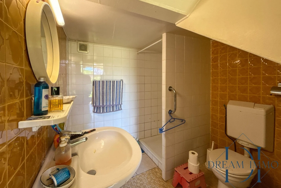 Maison gasconne à proximité d'Auch, parfaite pour chambres d'hôtes ou résidence principale 