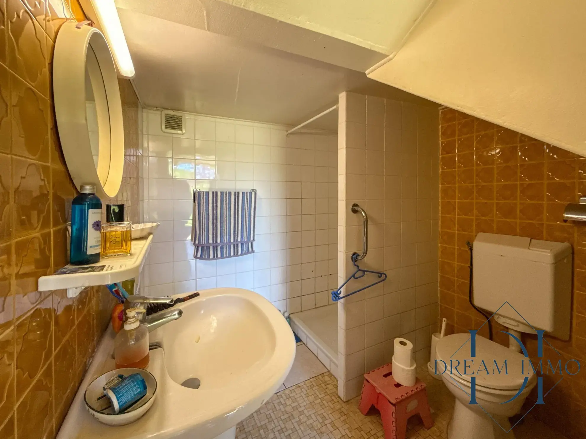 Maison gasconne à proximité d'Auch, parfaite pour chambres d'hôtes ou résidence principale 