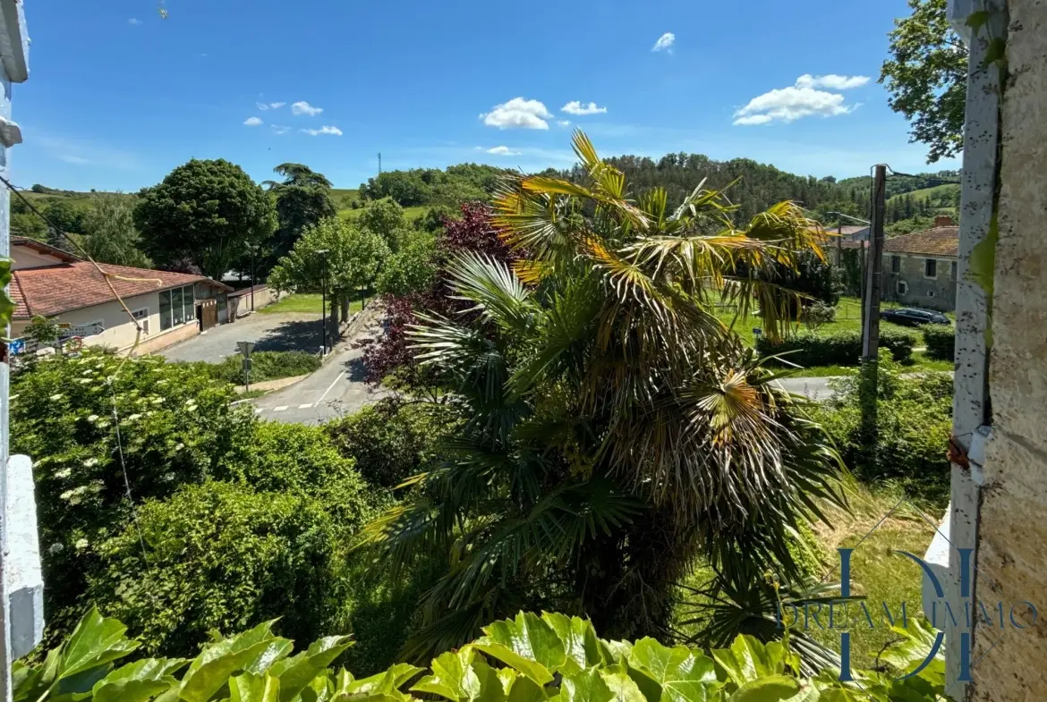 Maison gasconne à proximité d'Auch, parfaite pour chambres d'hôtes ou résidence principale 