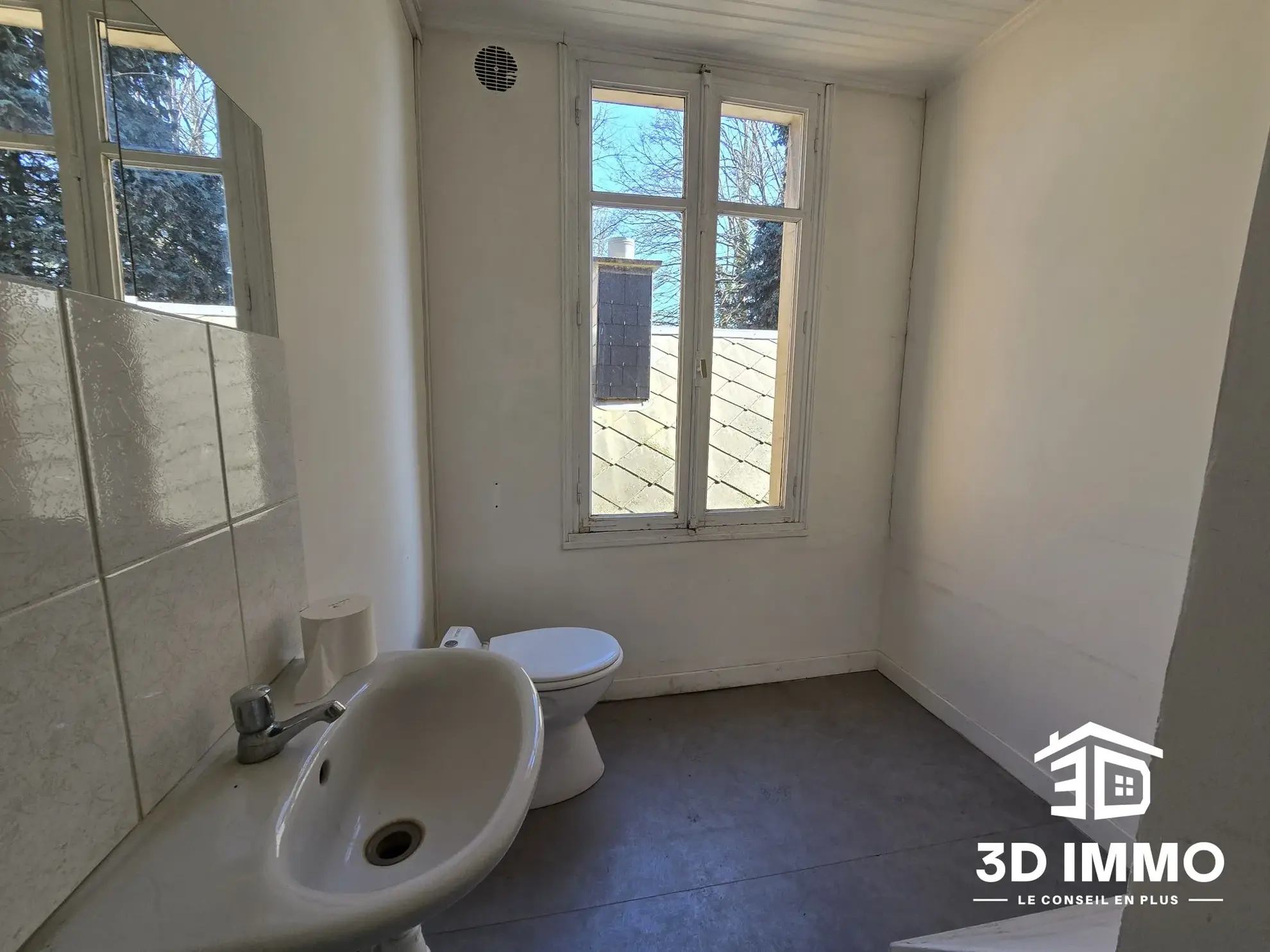Immeuble professionnel à vendre à Avesnes-sur-Helpe - Opportunité idéale 
