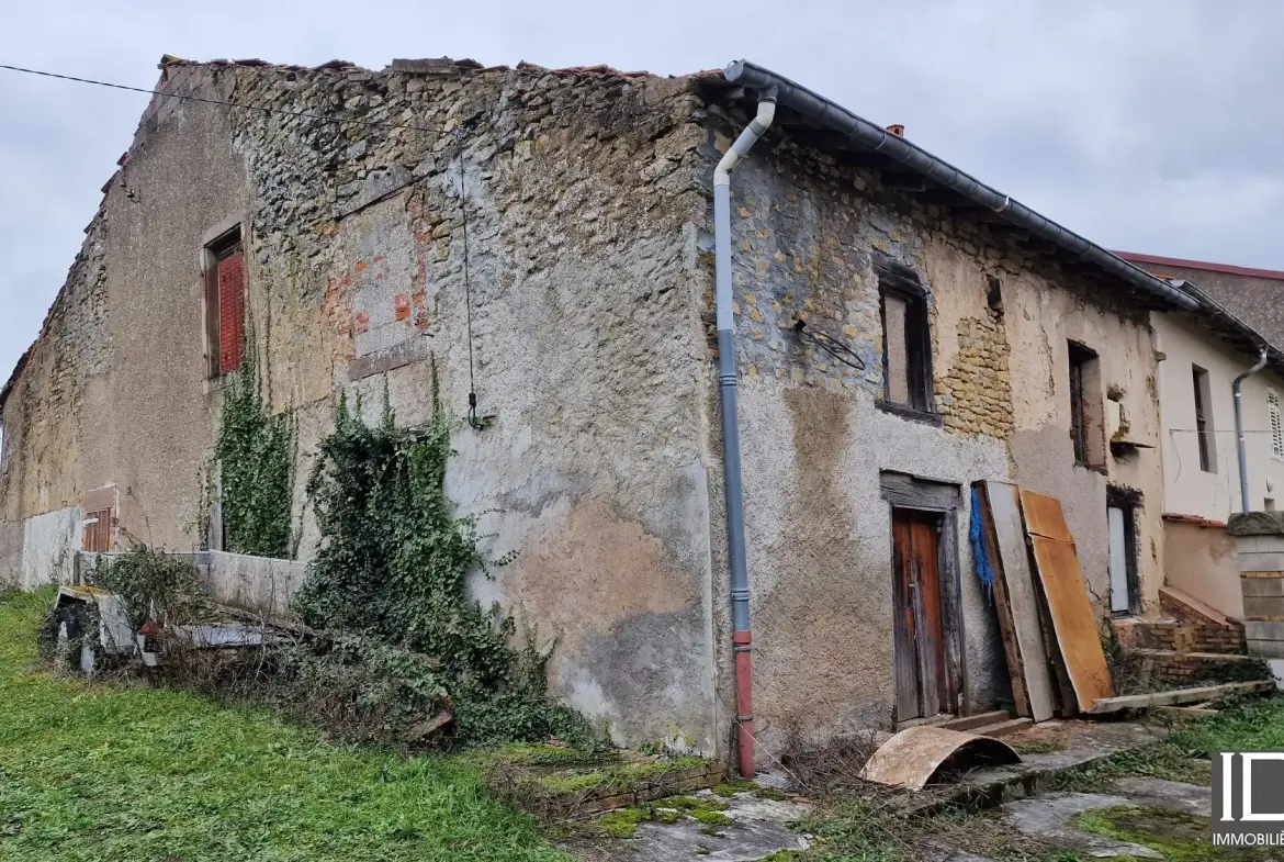 Vend deux maisons à rénover à Wuisse – Opportunité rare 