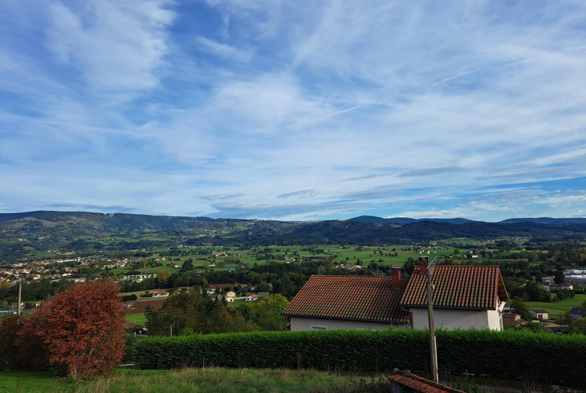 Grange à rénover avec potentiel d’habitation proche d’Ambert sur terrain de 1663 m² 