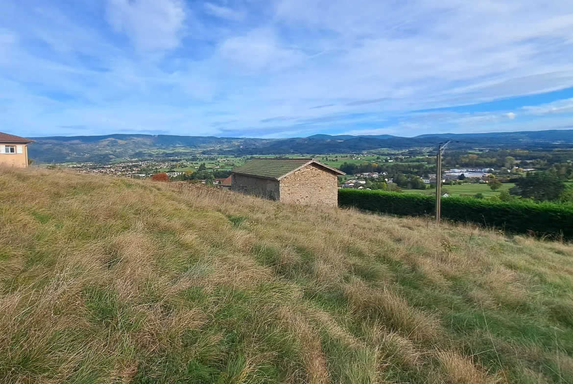 Grange à rénover avec potentiel d’habitation proche d’Ambert sur terrain de 1663 m² 