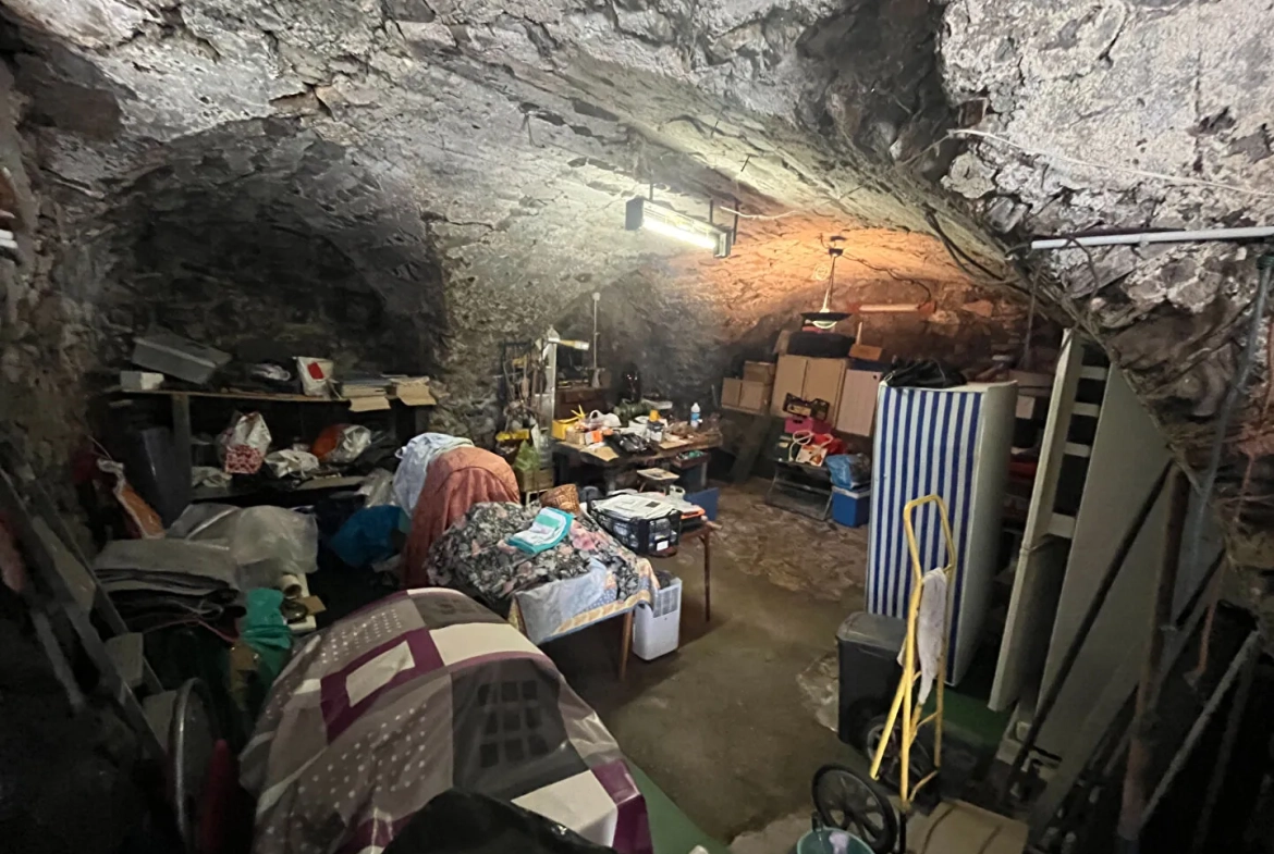 Maison en viager avec deux appartements indépendants à Savines-le-Lac 
