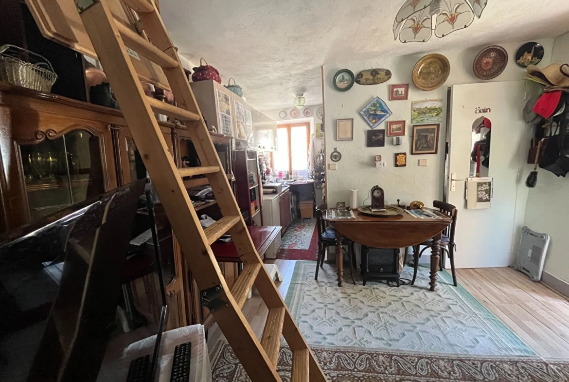 Maison en viager avec deux appartements indépendants à Savines-le-Lac 