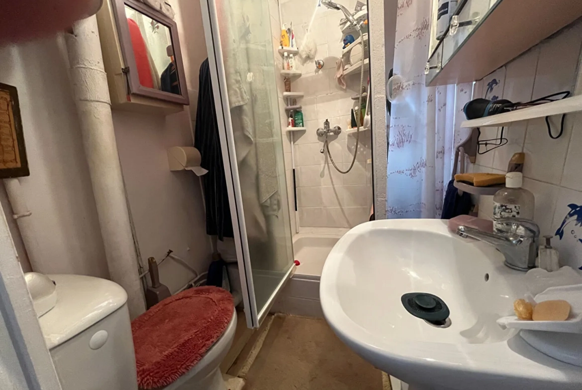 Maison en viager avec deux appartements indépendants à Savines-le-Lac 