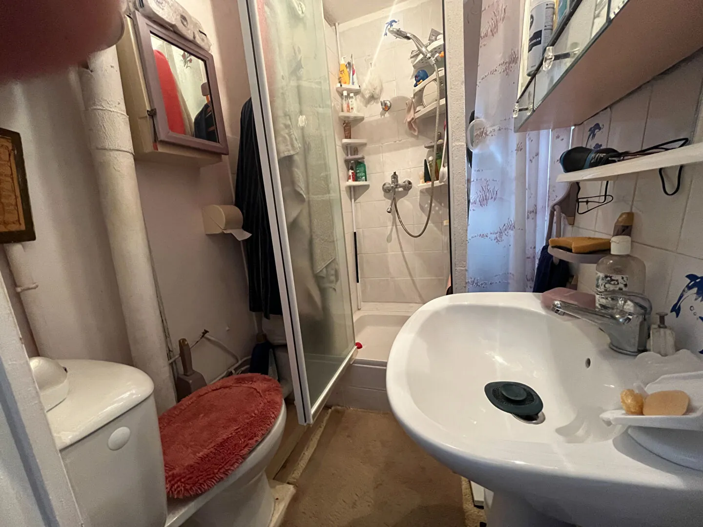 Maison en viager avec deux appartements indépendants à Savines-le-Lac 