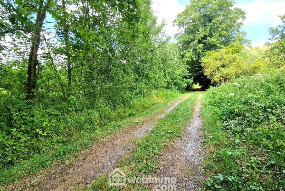 Terrain de loisir de 3 886 m² à Laon, environnement arboré 