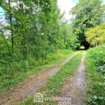 Terrain de loisir de 3 886 m² à Laon, environnement arboré