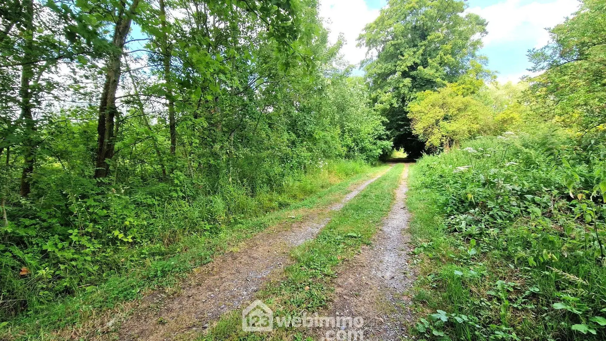 Terrain de loisir de 3 886 m² à Laon, environnement arboré 