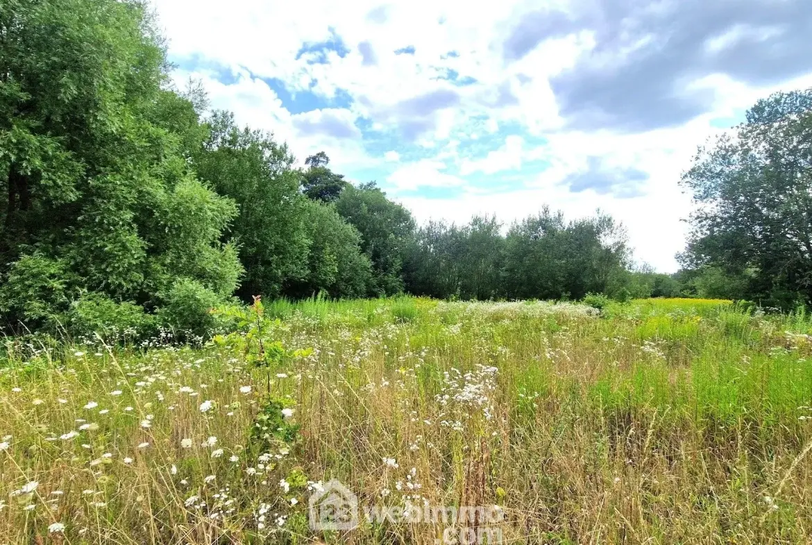 Terrain de loisir de 3 886 m² à Laon, environnement arboré 