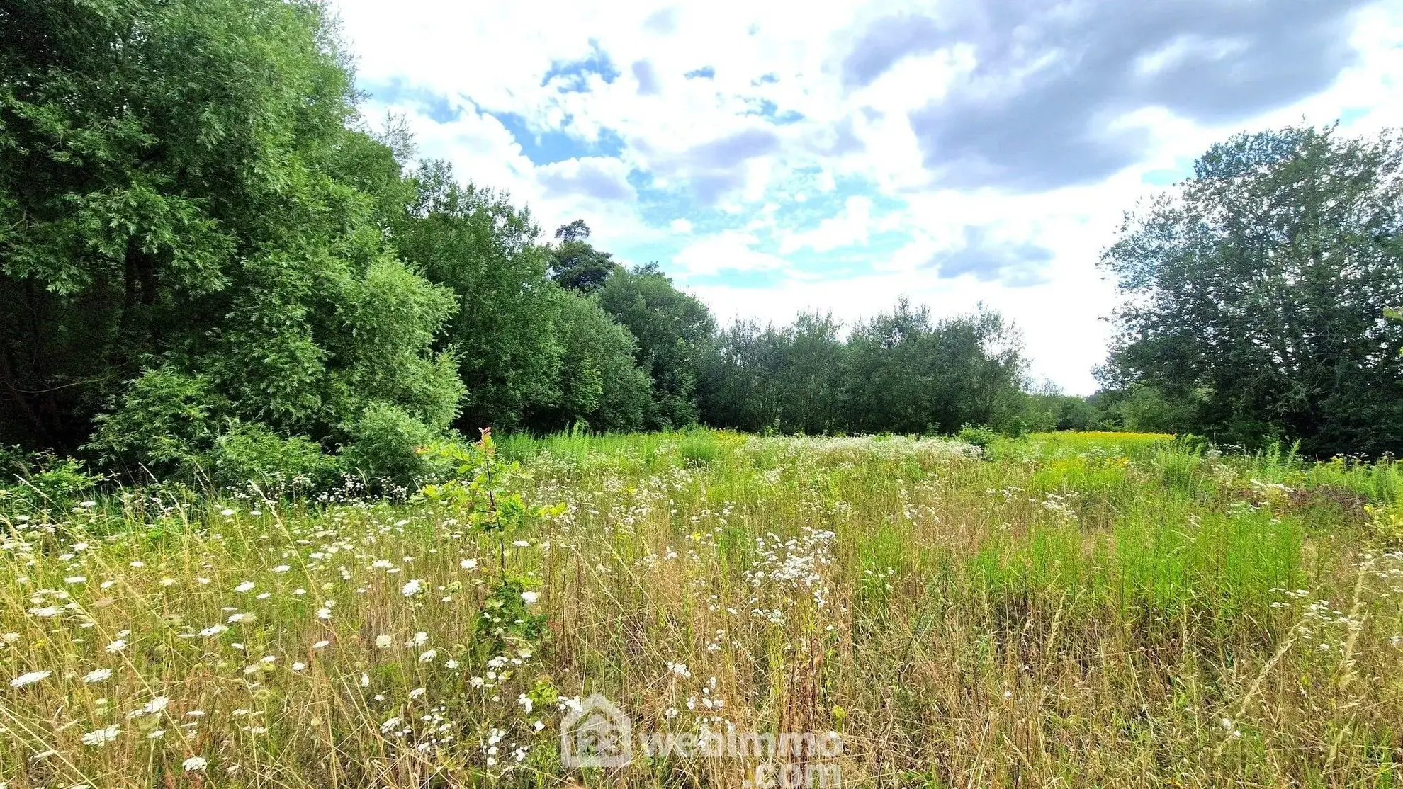 Terrain de loisir de 3 886 m² à Laon, environnement arboré 