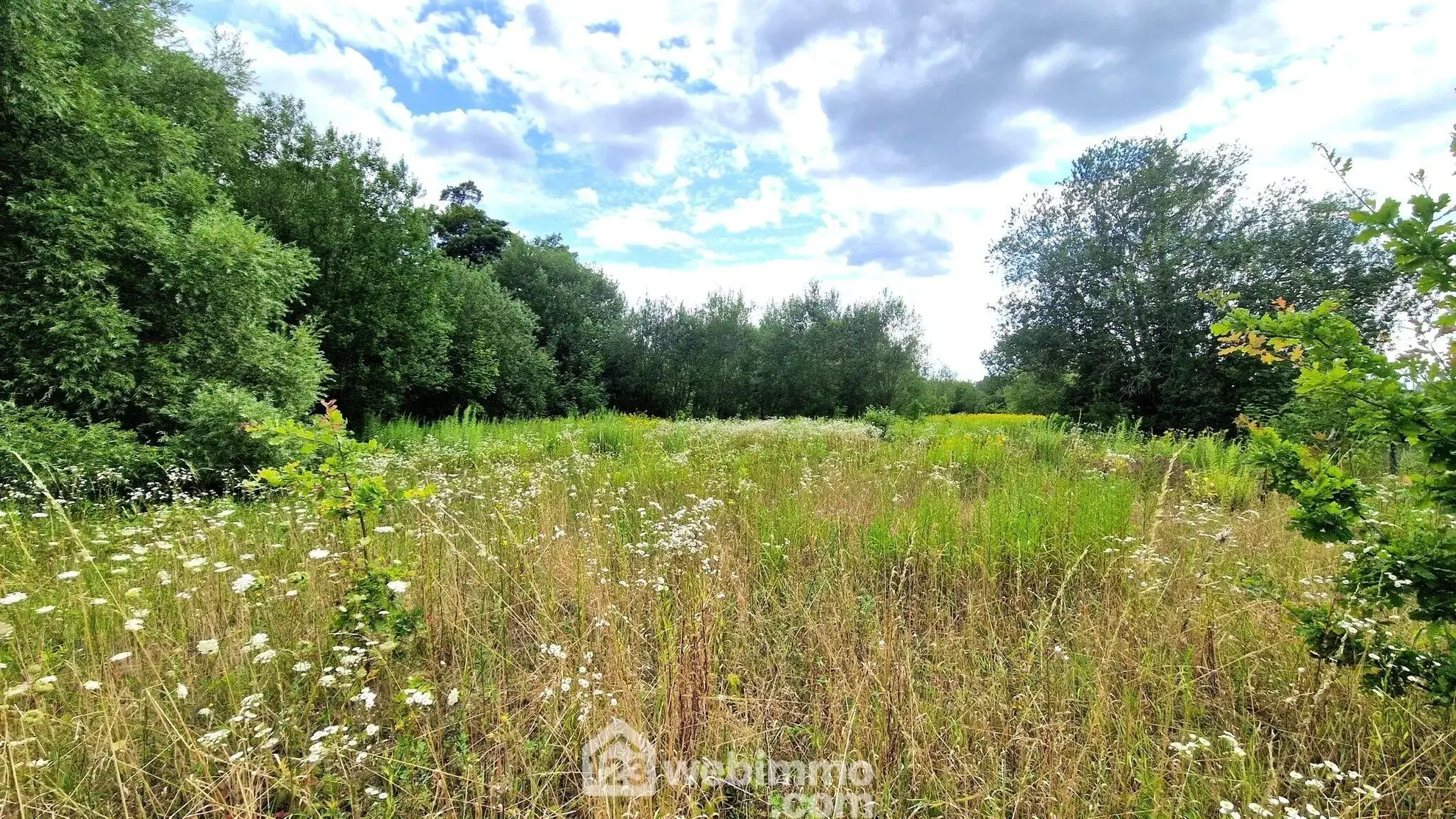Terrain de loisir de 3 886 m² à Laon, environnement arboré 