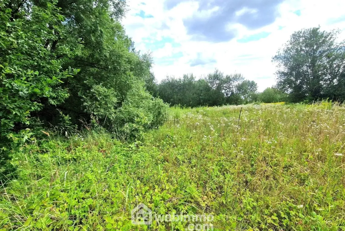 Terrain de loisir de 3 886 m² à Laon, environnement arboré 