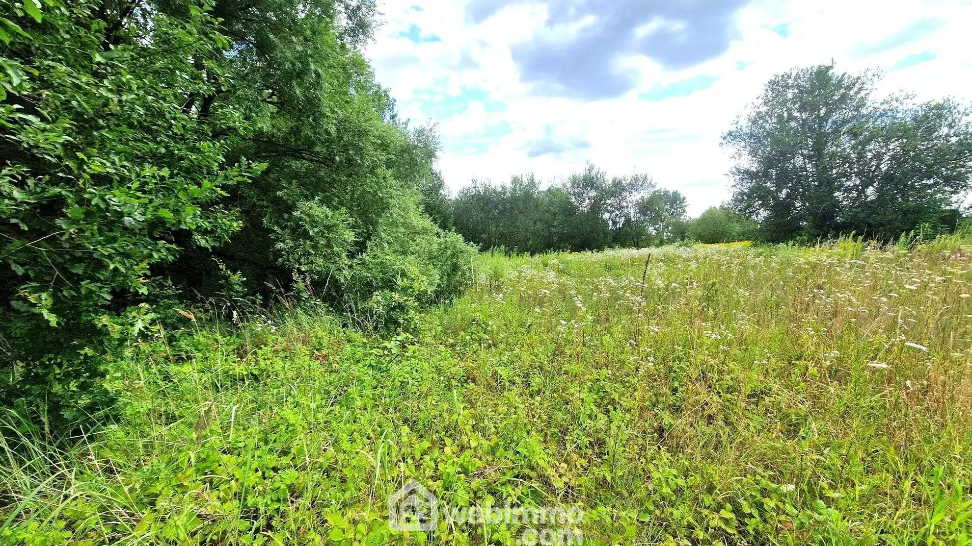 Terrain de loisir de 3 886 m² à Laon, environnement arboré 