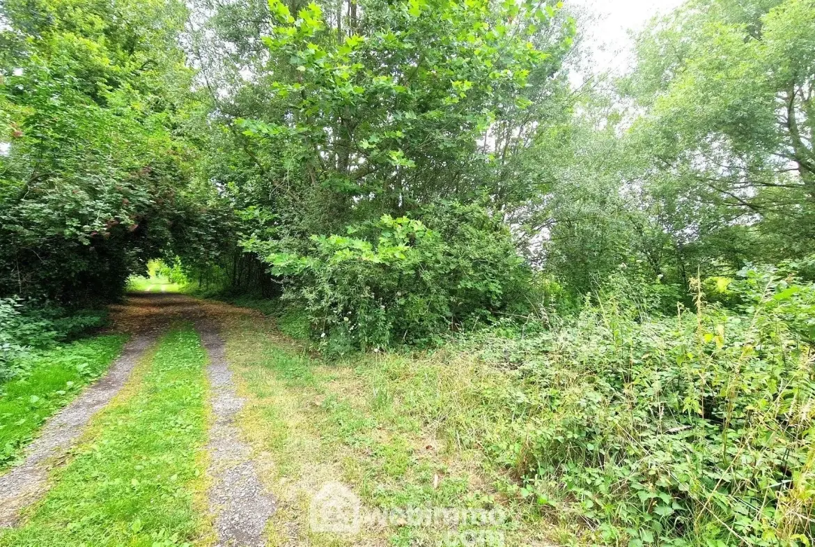 Terrain de loisir de 3 886 m² à Laon, environnement arboré 