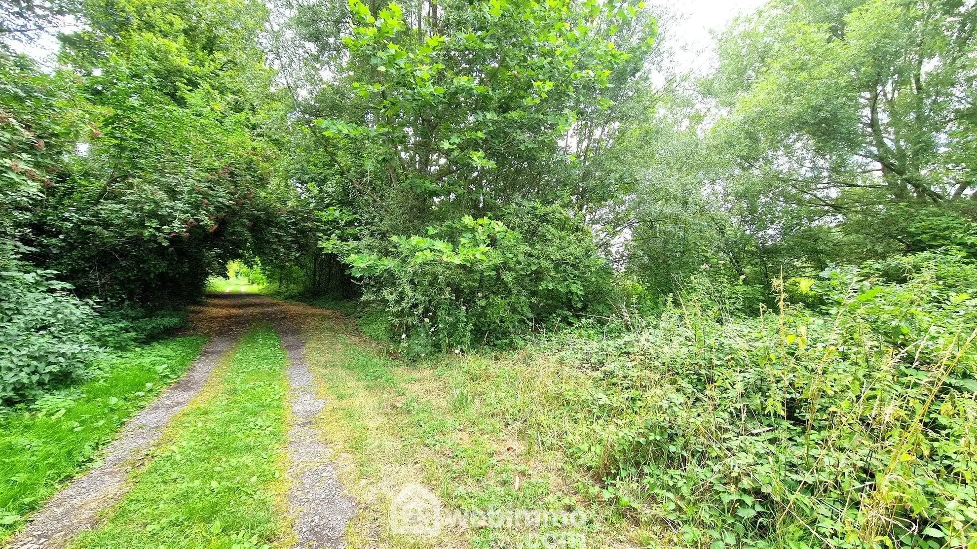 Terrain de loisir de 3 886 m² à Laon, environnement arboré 