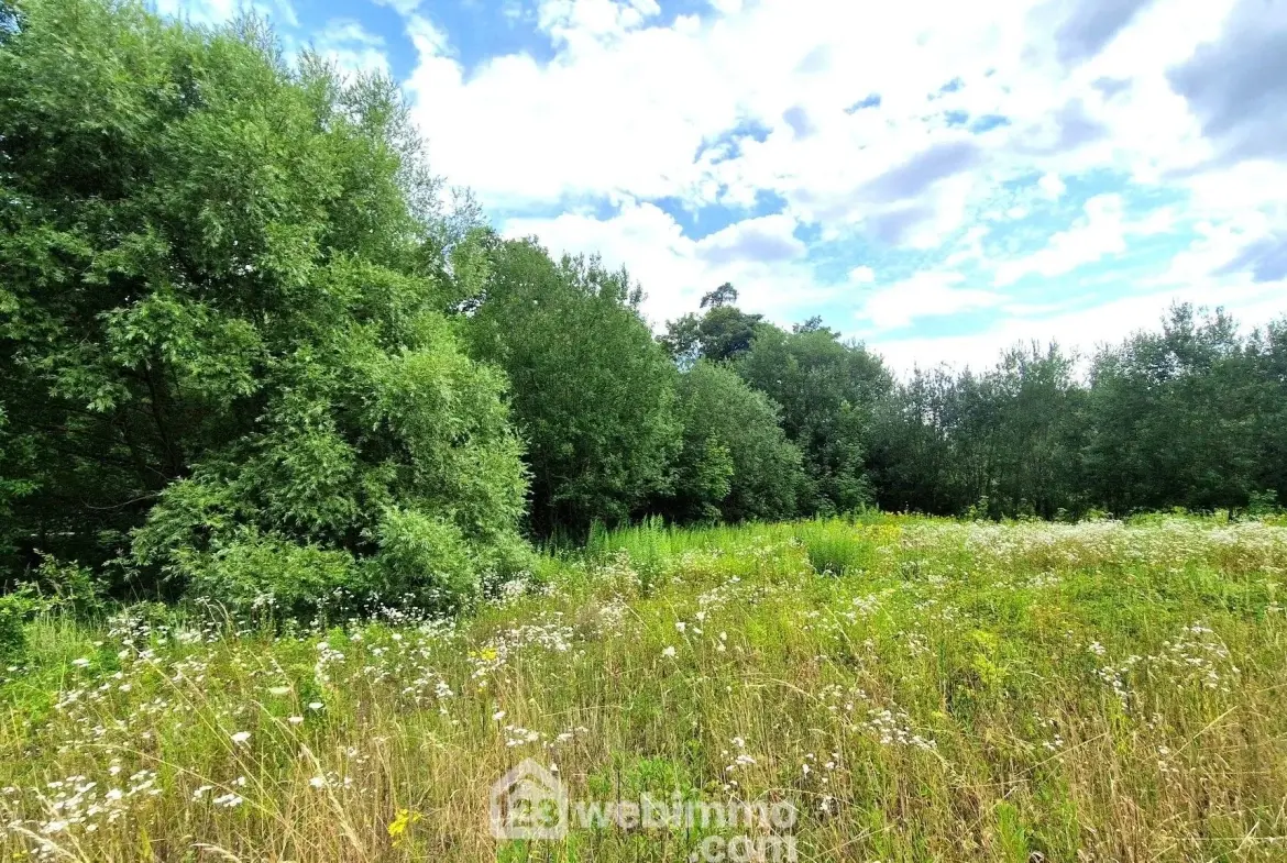 Terrain de loisir de 3 886 m² à Laon, environnement arboré 