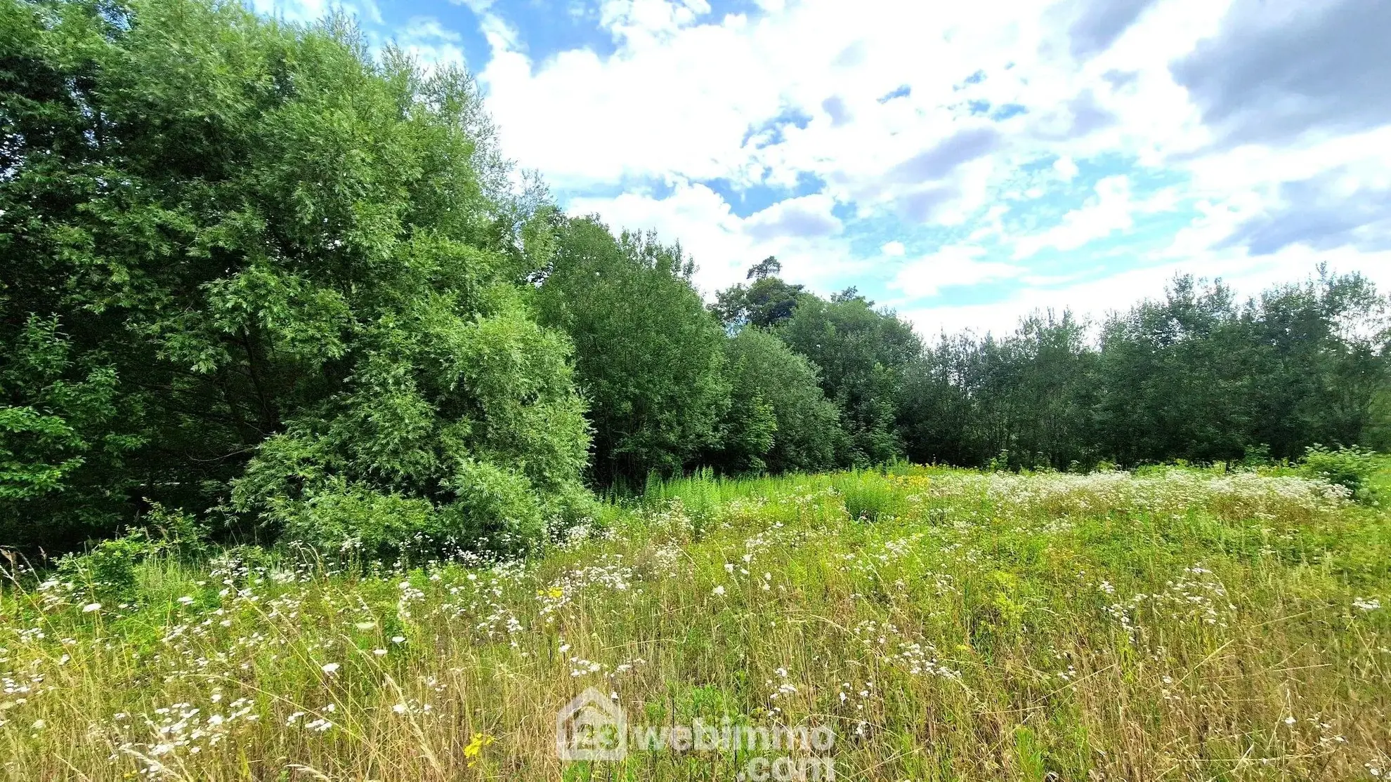 Terrain de loisir de 3 886 m² à Laon, environnement arboré 