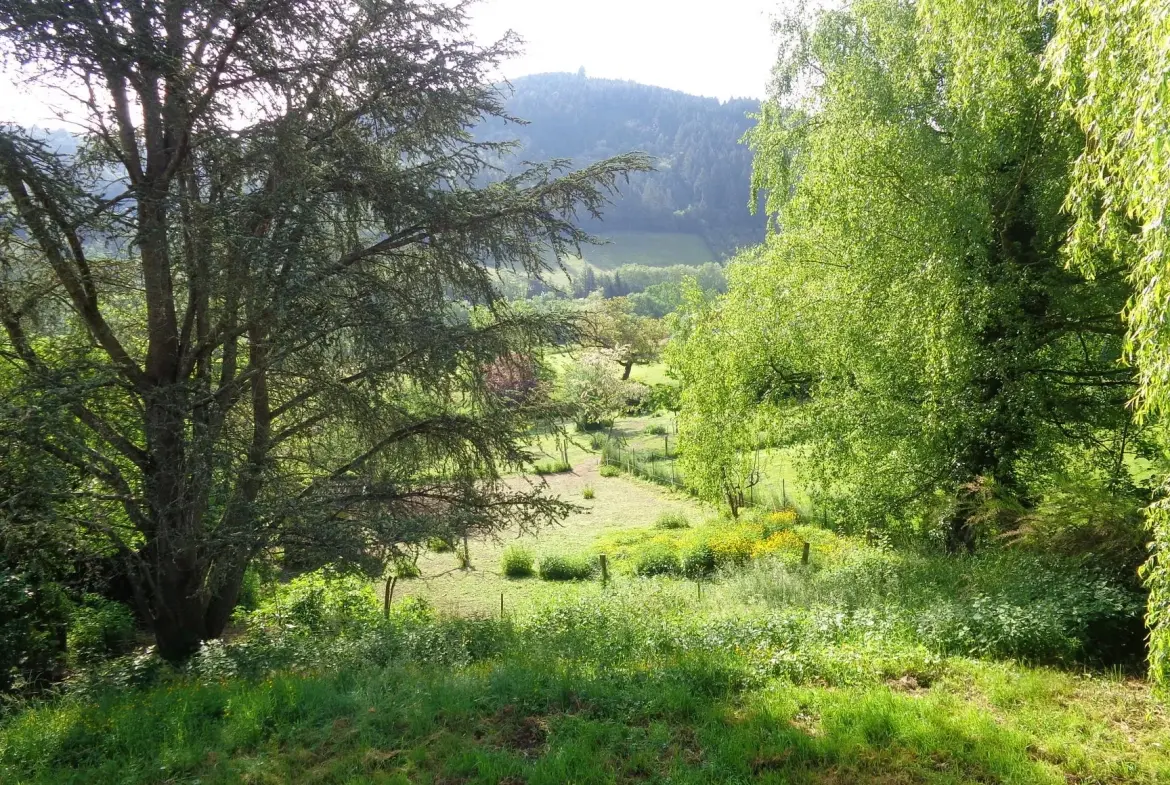 Belle villa familiale à Chambost-Allières avec jardin et grand espace extérieur 