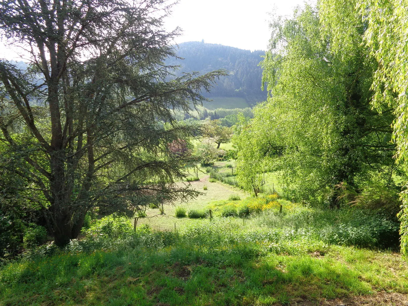 Belle villa familiale à Chambost-Allières avec jardin et grand espace extérieur 