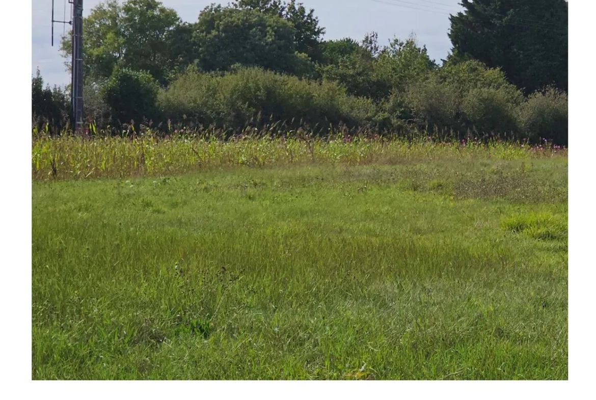 Terrain à vendre à La Plaine-sur-Mer – Proche mer et côte Cormier 