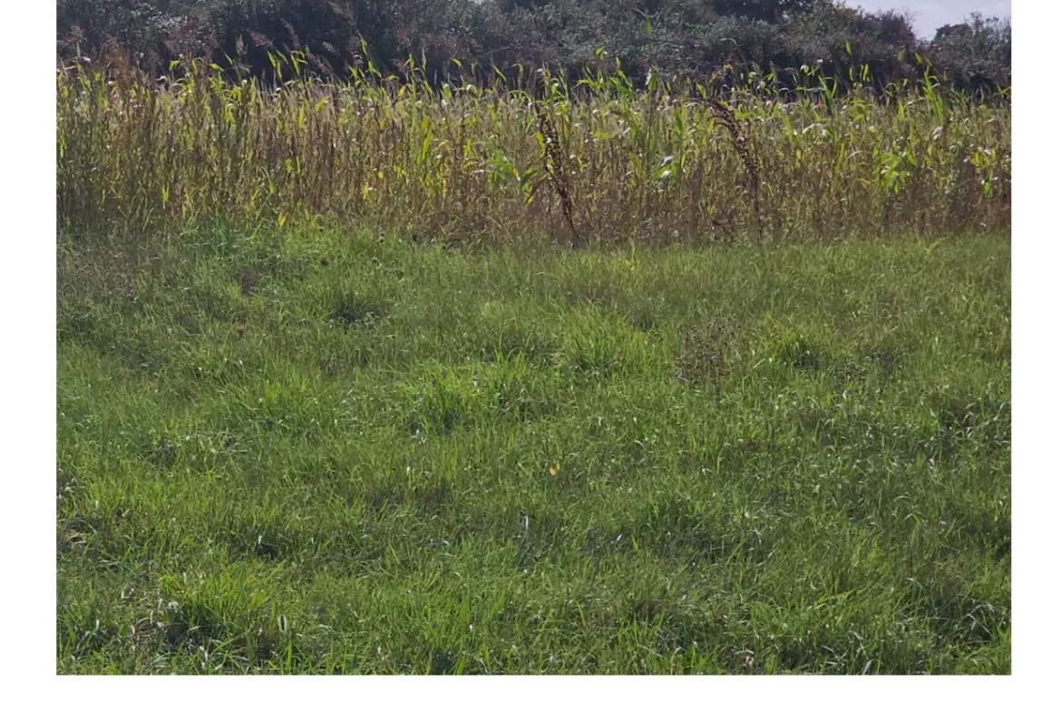 Terrain à vendre à La Plaine-sur-Mer – Proche mer et côte Cormier 