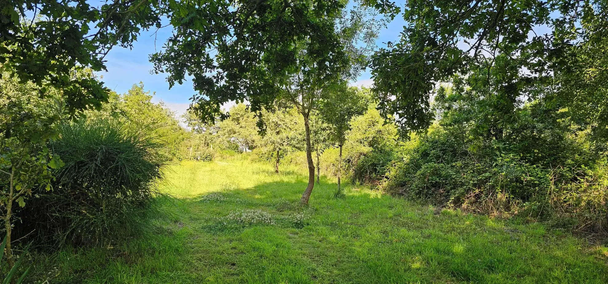 Terrain à vendre à La Plaine sur Mer avec eau et électricité au pied 