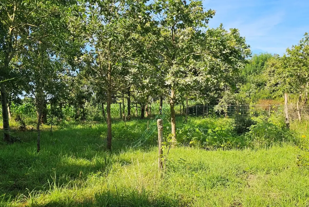 Terrain à vendre à La Plaine sur Mer avec eau et électricité au pied 