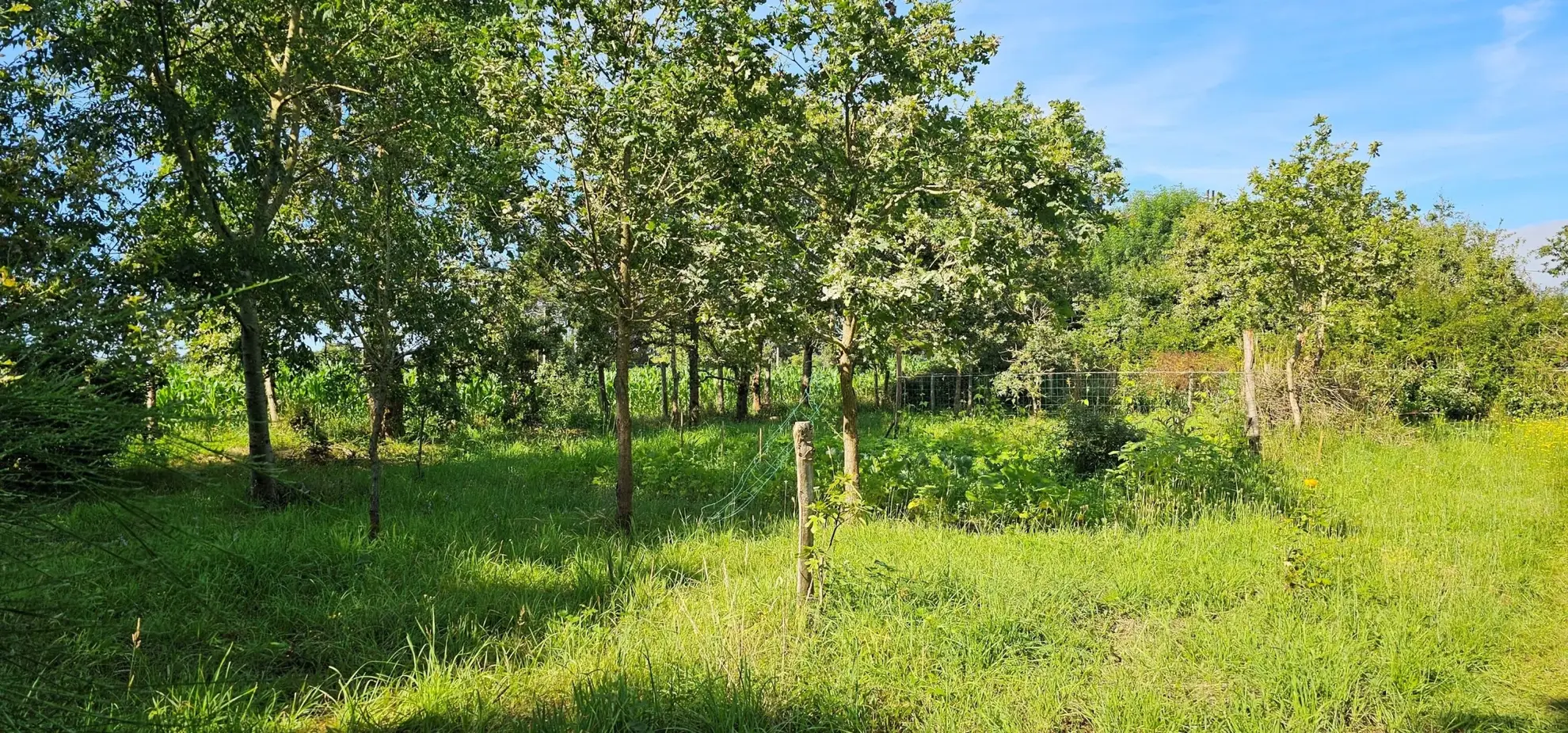 Terrain à vendre à La Plaine sur Mer avec eau et électricité au pied 