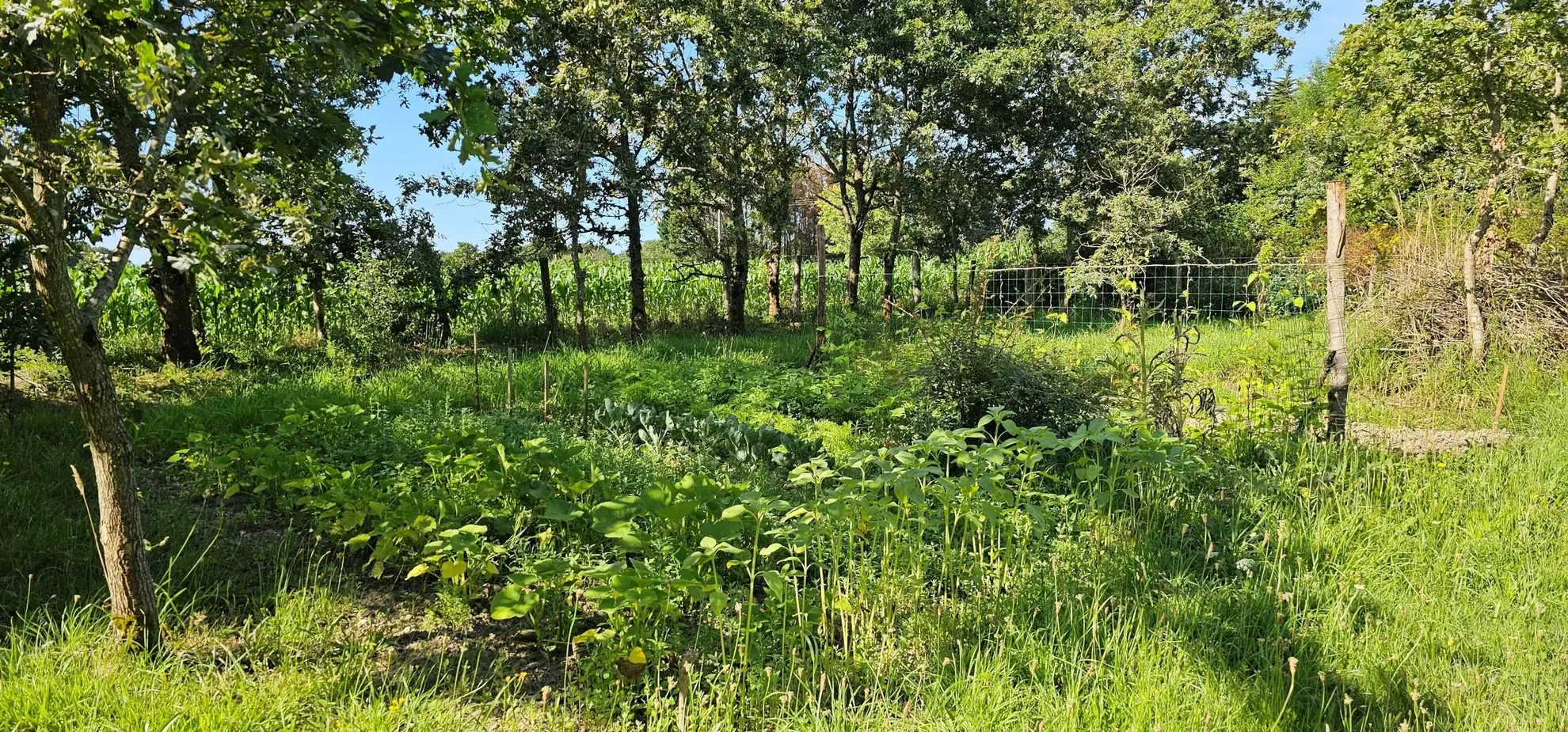 Terrain à vendre à La Plaine sur Mer avec eau et électricité au pied 