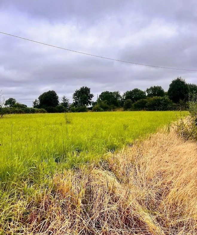 Terrain à bâtir de 781 m² à Savigny en Normandie - Proche Saint-Lô et Coutances 